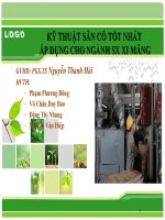 KỸ THUẬT SẴN CÓ TỐT NHẤT ÁP DỤNG CHO NGÀNH SẢN XUẤT XI MĂNG