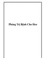 Phỏng Trị Bệnh Cho Heo ppt