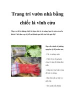 Trang trí vườn nhà bằng chiếc lá vĩnh cửu docx