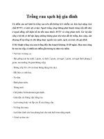 Trồng rau sạch hộ gia đình potx