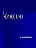 HÓA HỌC LIPID pptx