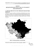 Đánh giá diễn biến môi trường khu vực trọng điểm phát triển kinh tế- xã hội của hai vùng tam giác phía Bắc và phía Nam pdf