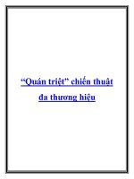 “Quán triệt” chiến thuật đa thương hiệu ppt