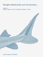 Sturgeon biodiversity and conservation docx