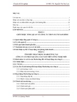 Hoàn thiện chiến lược Marketing cho công ty TNHH Sản Xuất Thương mại Nam Bình