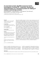 Báo cáo khoa học: A novel plant protein disulﬁde isomerase family homologous to animal P5 – molecular cloning and characterization as a functional protein for folding of soybean seed-storage proteins docx