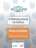 101 B2B Marketing and Sales Tips from The B2B Lead docx