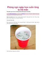 Phòng ngủ ngập hoa cuốn lòng ta mê mẩn potx