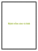 Bệnh trầm cảm và tình pdf