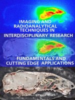IMAGING AND RADIOANALYTICAL TECHNIQUES IN INTERDISCIPLINARY RESEARCH -FUNDAMENTALS AND CUTTING EDGE APPLICATIONS potx
