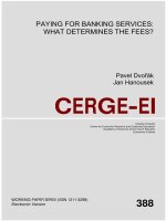 PAYING FOR BANKING SERVICES: WHAT DETERMINES THE FEES? - CERGE-EI docx