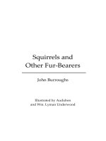 Squirrels and Other Fur-Bearers pptx