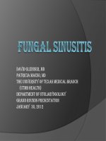 FUNGGAL SINUSITIS pptx