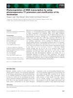 Báo cáo khoa học: Photoregulation of DNA transcription by using photoresponsive T7 promoters and clariﬁcation of its mechanism doc