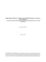 Budget Impasse Hinges on Confusion among Deficit Reduction, Tax Increase, and Tax Reform: An Economic Analysis of Dual Capacity and Section 199 Proposals for the U.S. Oil and Gas Industry ppt