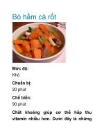 Bò hầm cà rốt docx