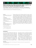 Báo cáo khoa học: Novel strategy for protein production using a peptide tag derived from Bacillus thuringiensis Cry4Aa pptx