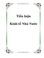 Tiểu luận Kinh tế Nhà Nước ppt