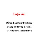 phân tích thực trạng quảng bá thương hiệu của website www.chodientu.vn