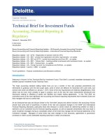 TECHNICAL BRIEF FOR INVESTMENT FUNDS: ACCOUNTING, FINANCIAL REPORTING & REGULATORY ( VOLUME 5) potx