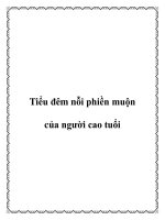 Tiểu đêm nỗi phiền muộn của người cao tuổi pdf