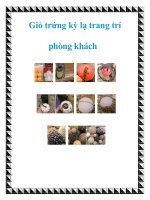 Giỏ trứng kỳ lạ trang trí phòng khách doc