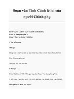 Soạn văn Tình Cảnh lẻ loi của người Chinh phụ pptx