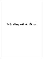 Điệu đàng với tóc tết mái pdf