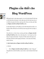 Plugins cần thiết cho Blog WordPress pot