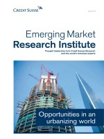 OPPORTUNITIES IN AN URBANIZING WORLD doc