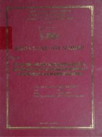 Các giải pháp thúc đẩy hoạt động xuất khẩu một số mặt hàng chủ lực của Việt Nam sang thị trường EU từ nay đến năm 2010 và định hướng đến năm 2020