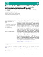 Báo cáo khoa học: A novel mechanism of V-type zinc inhibition of glutamate dehydrogenase results from disruption of subunit interactions necessary for efﬁcient catalysis doc