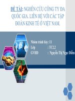 Bài thuyết trình: NGHÊN CỨU CÔNG TY ĐA QUỐC GIA. LIÊN HỆ VỚI CÁC TẬP ĐOÀN KINH TẾ Ở VIỆT NAM docx