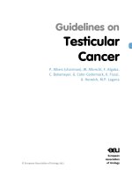 Guidelines on Testicular Cancer doc