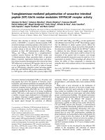 Báo cáo Y học: Transglutaminase-mediated polyamination of vasoactive intestinal peptide (VIP) Gln16 residue modulates VIP/PACAP receptor activity pdf
