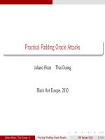 Practical Padding Oracle Attacks pot