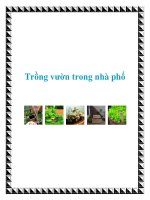 Trồng vườn trong nhà phố pdf