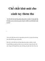 Chế chất khử mùi cho cánh tay thơm tho potx