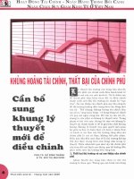 Khủng hoảng tài chính và thất bại của chính phủ docx