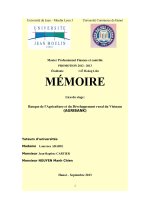 Créances douteuses et les impacts des sur la solvabilité de la banque Agribank en comparaison avec les autres banques