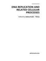 DNA Replication and Related Cellular Processes Edited by Jelena Kušić - Tišma pdf