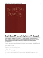 The Bright Side of Prison Life pdf