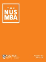 THE NUS MBA: Academic Year 2013 – 2014 pot