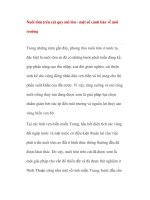 Nuôi tôm trên cát quy mô lớn - một số cảnh báo về môi trường pptx