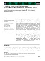 Báo cáo khoa học: Functional dissection of Escherichia coli phosphotransacetylase structural domains and analysis of key compounds involved in activity regulation potx