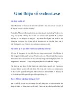 Giới thiệu về svchost.exe potx