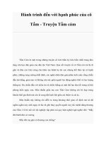 Hành trình đến với hạnh phúc của cô Tấm - Truyện Tấm cám doc