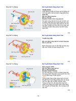 Khai quat ve hop so tu dong