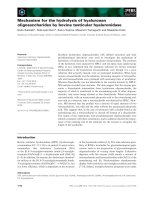 Báo cáo khoa học: Mechanism for the hydrolysis of hyaluronan oligosaccharides by bovine testicular hyaluronidase docx