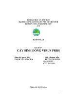BỘ GIÁO DỤC VÀ ĐÀO TẠO ĐẠI HỌC NÔNG LÂM THÀNH PHỐ HỒ CHÍ MINH BỘ MÔN CÔNG pdf